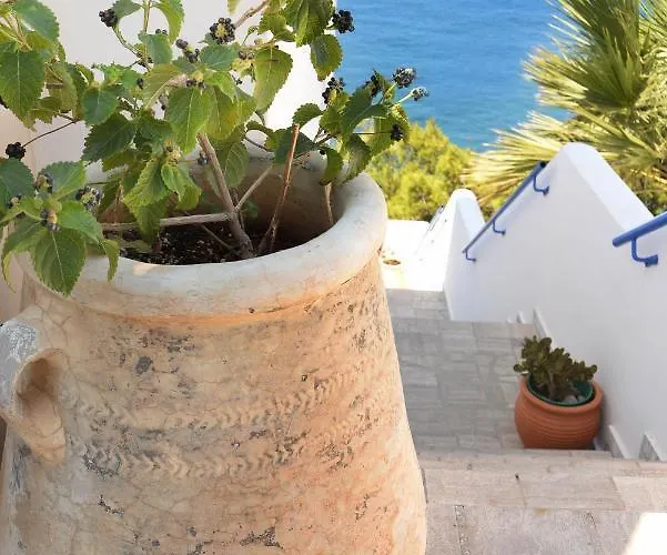 Mouselis アパート *