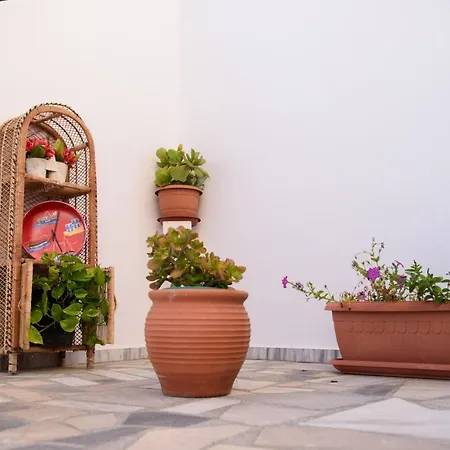 Mouselis Apartamento Panormos (Kalymnos)